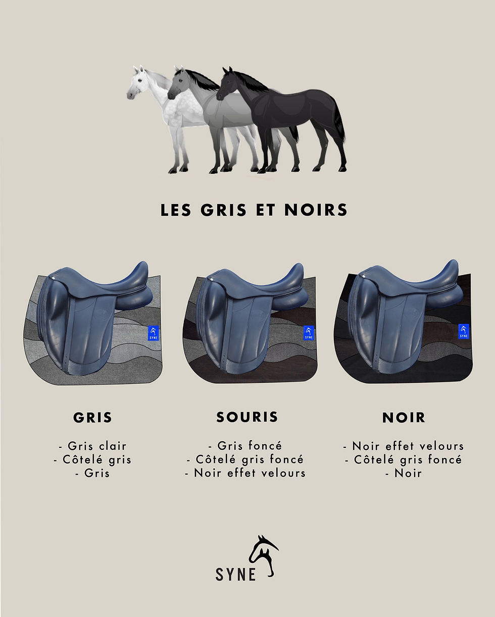 Thumbnail: Écume White Black Saddle pad