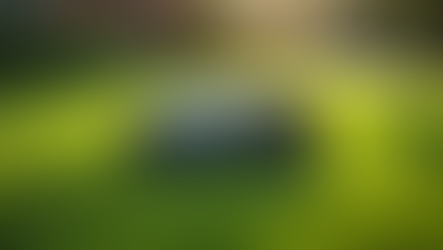 Die besten Robotermäher für Ihren Garten