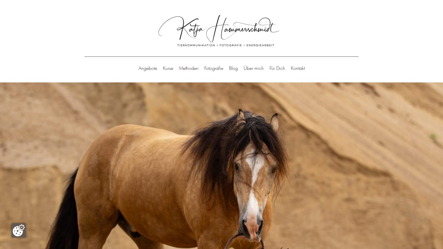 Startseite von Katja Hammerschmidt mit Pferd