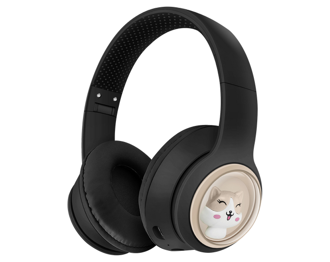 H-BT897 product image
