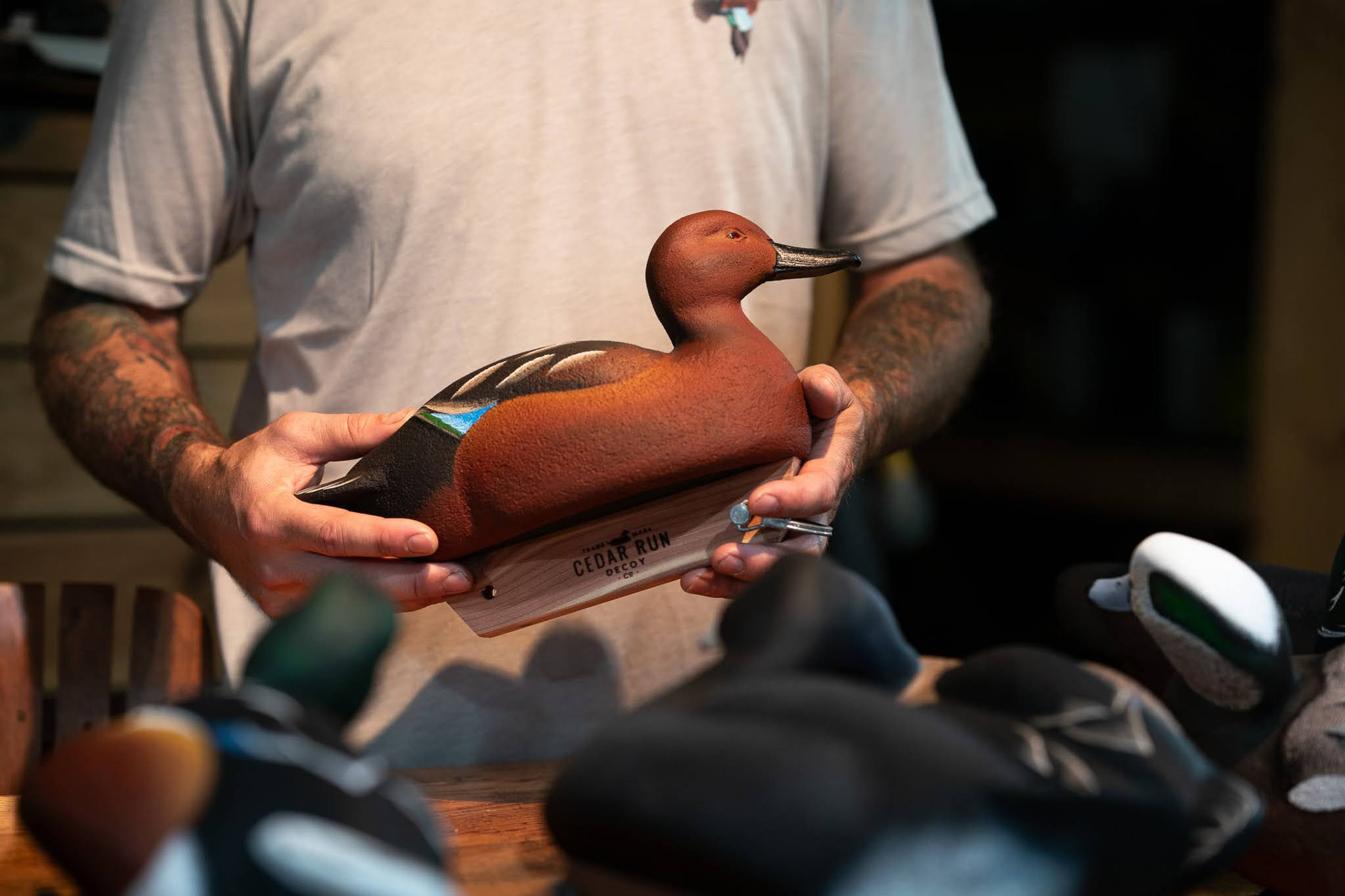 Cinnamon Teal - First Edition Package