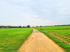 20201020_150914-01.jpeg
