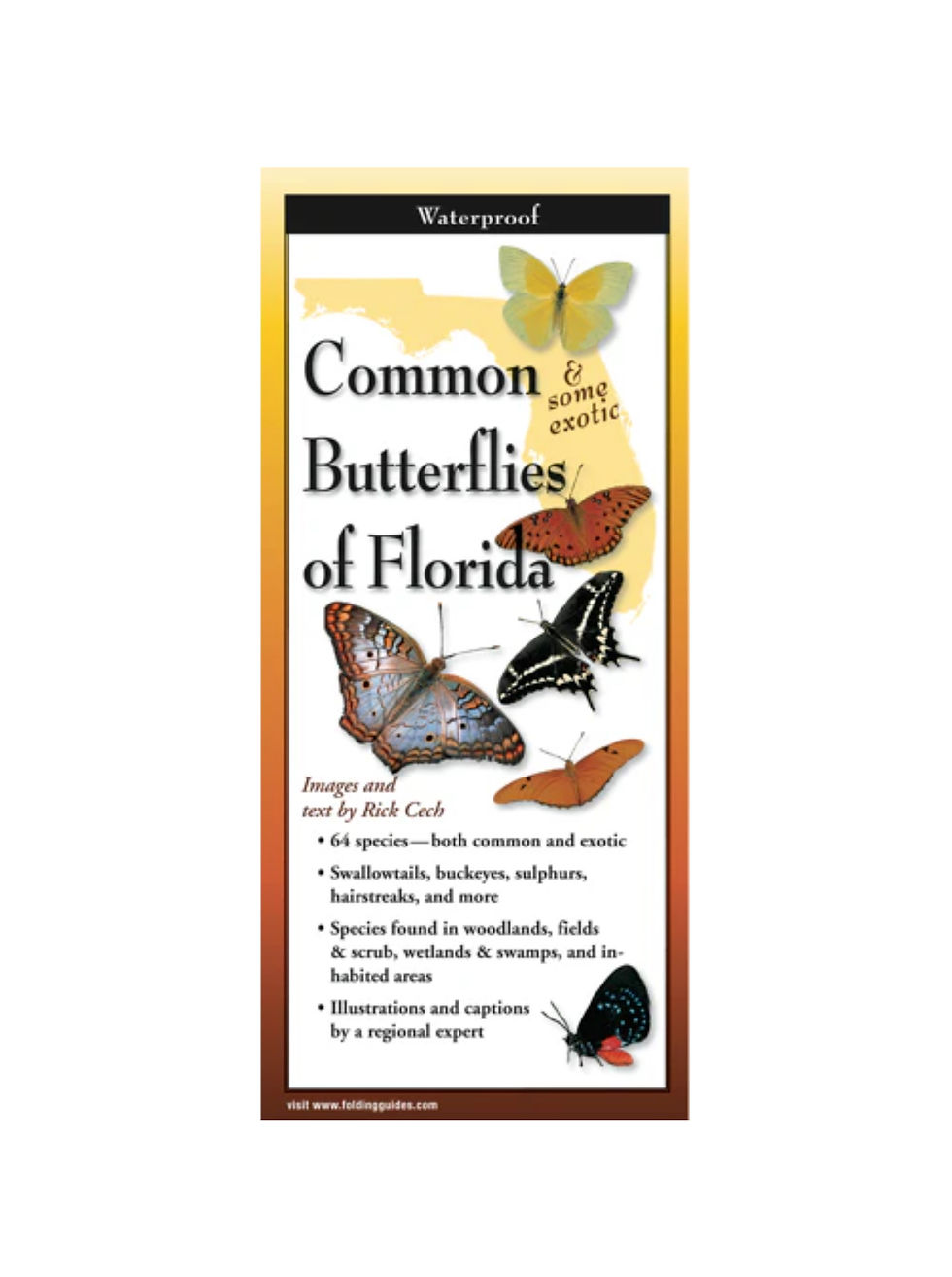 Thumbnail: Pocket Guides by Earth Water & Sky