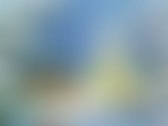 Christmas for the Critters   - Coming Saturday, December 6     