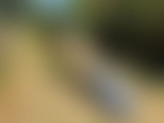 Inauguration du 5ème parc canin