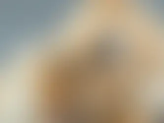 QUAND DONNER DE L’ANTI-PUCE À SON CHIEN ?
