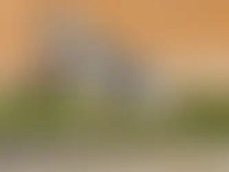 Comment mettre un harnais pour un chien ?