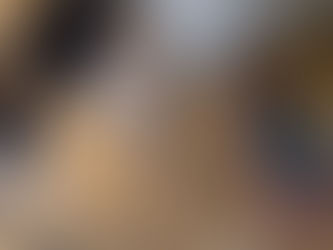 Ces 2 Bergers Allemands assurent à merveille la sécurité de leur protégée, une petite fille ne sachant pas encore marcher (vidéo)