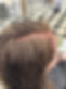 IMG_5446.jpeg