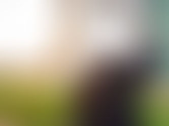 Case Study: Vice President of Entitlements & Development Management Recruiter