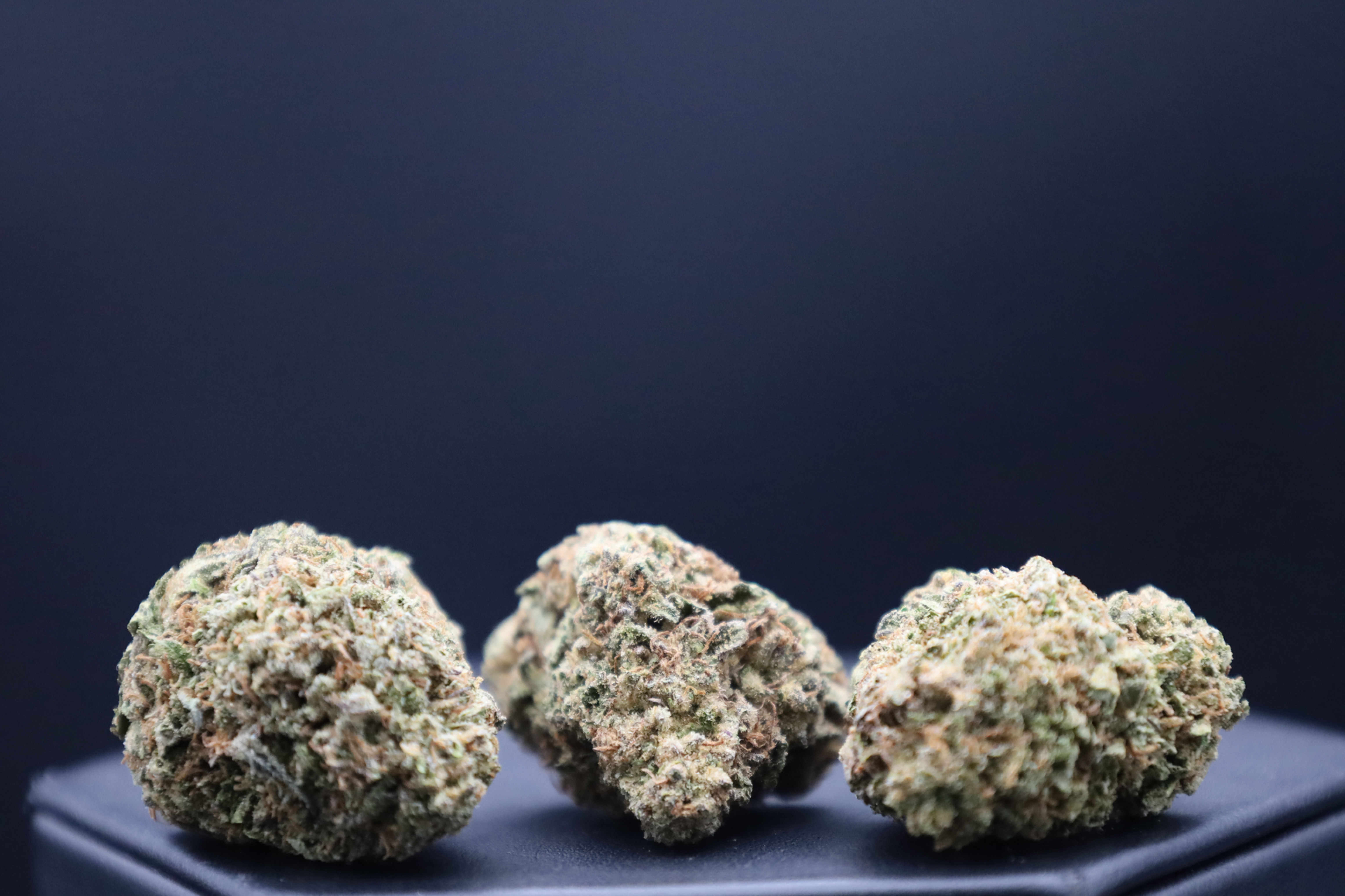 Sticker with Free Koala Crack strain gift