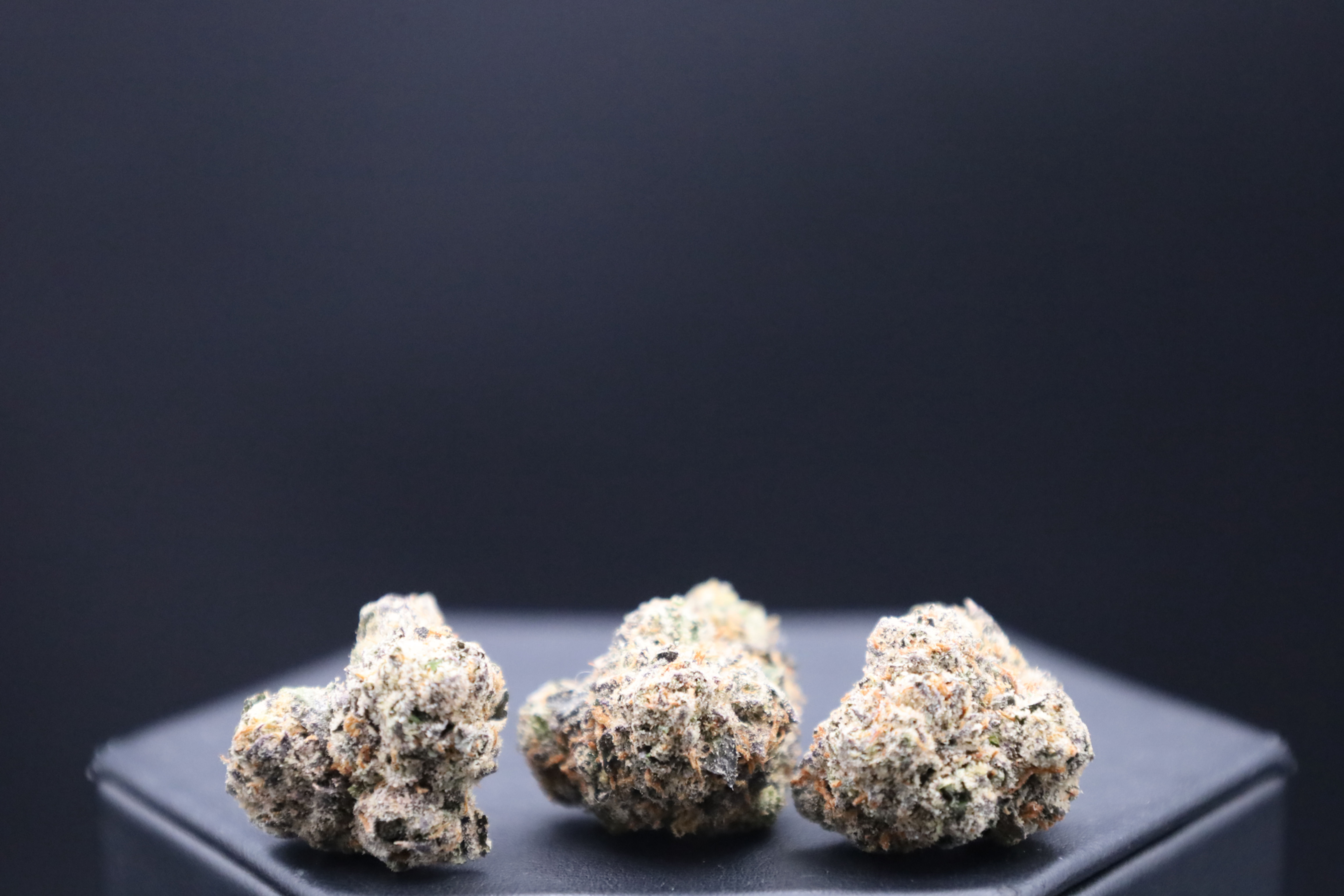 Sticker with Free Gascotti strain gift