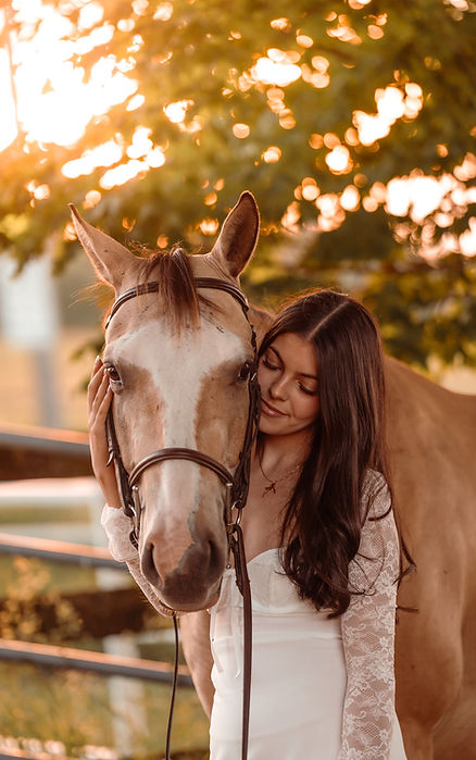 Newmarket Equine portrait photographer, Studio 4 Collective