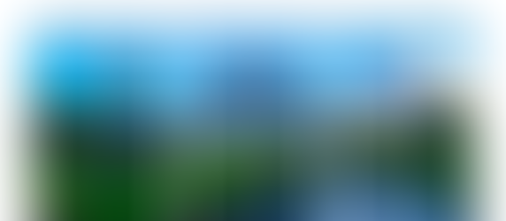 Quarterly Review (June 2022)