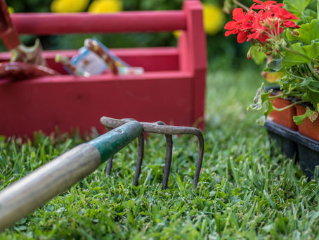 Spring Landscaping Maintenance: What to Tackle Now for a Healthier Yard