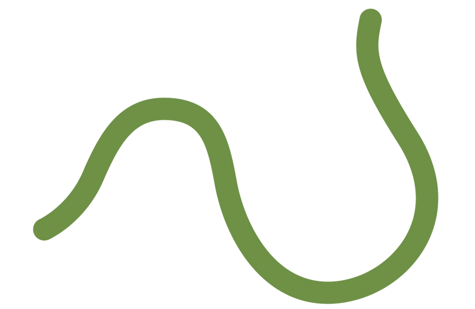 Lead&Connect_Logo_GreenGrass_Icon_Linie.png