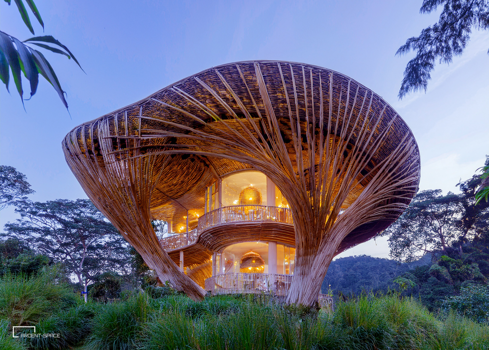 Multi-story bamboo structure resembling a mushroom or seed pod, illuminated from within, sits amidst lush greenery.