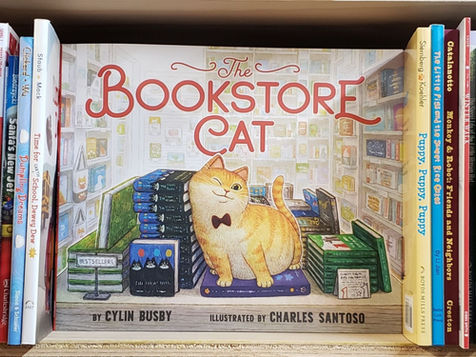 Review | The Bookstore Cat