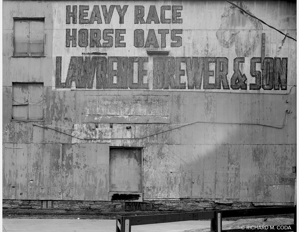 Lawrence Brewer & Son, Lexington, KY, ©2025. 8x10" Silver Negative.