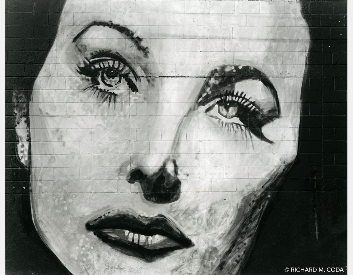 Heddy Lamar, Pittsburgh, PA, ©2015. 4x5" Silver Negative.