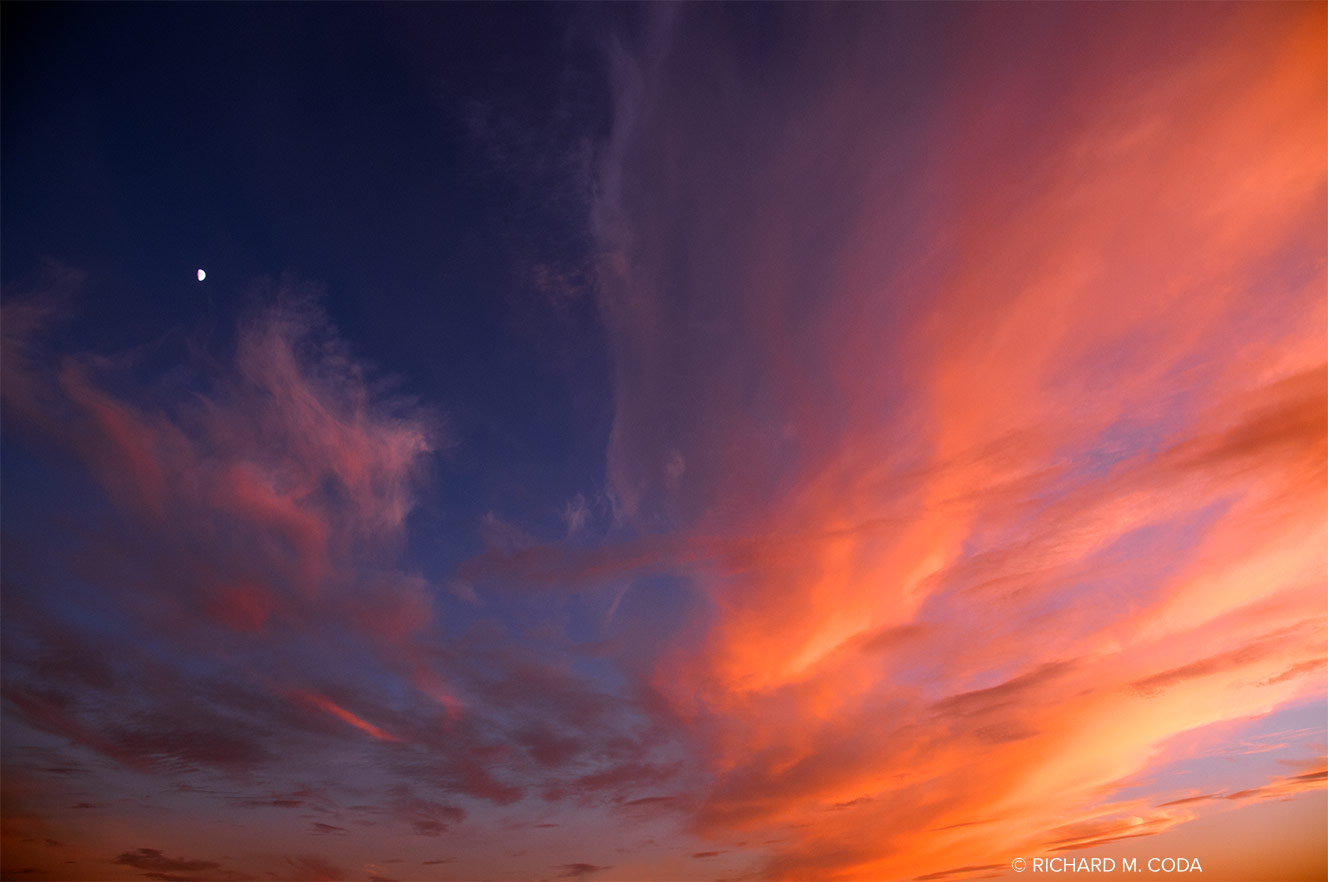 Primodial 4015, Scottsdale, AZ, ©2012. Digital capture.