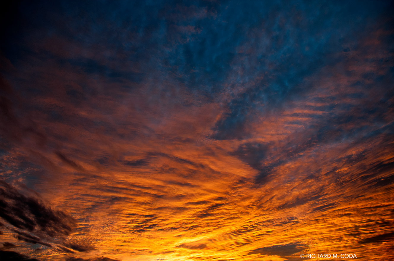 Primodial 5261, Scottsdale, AZ, ©2012. Digital capture.