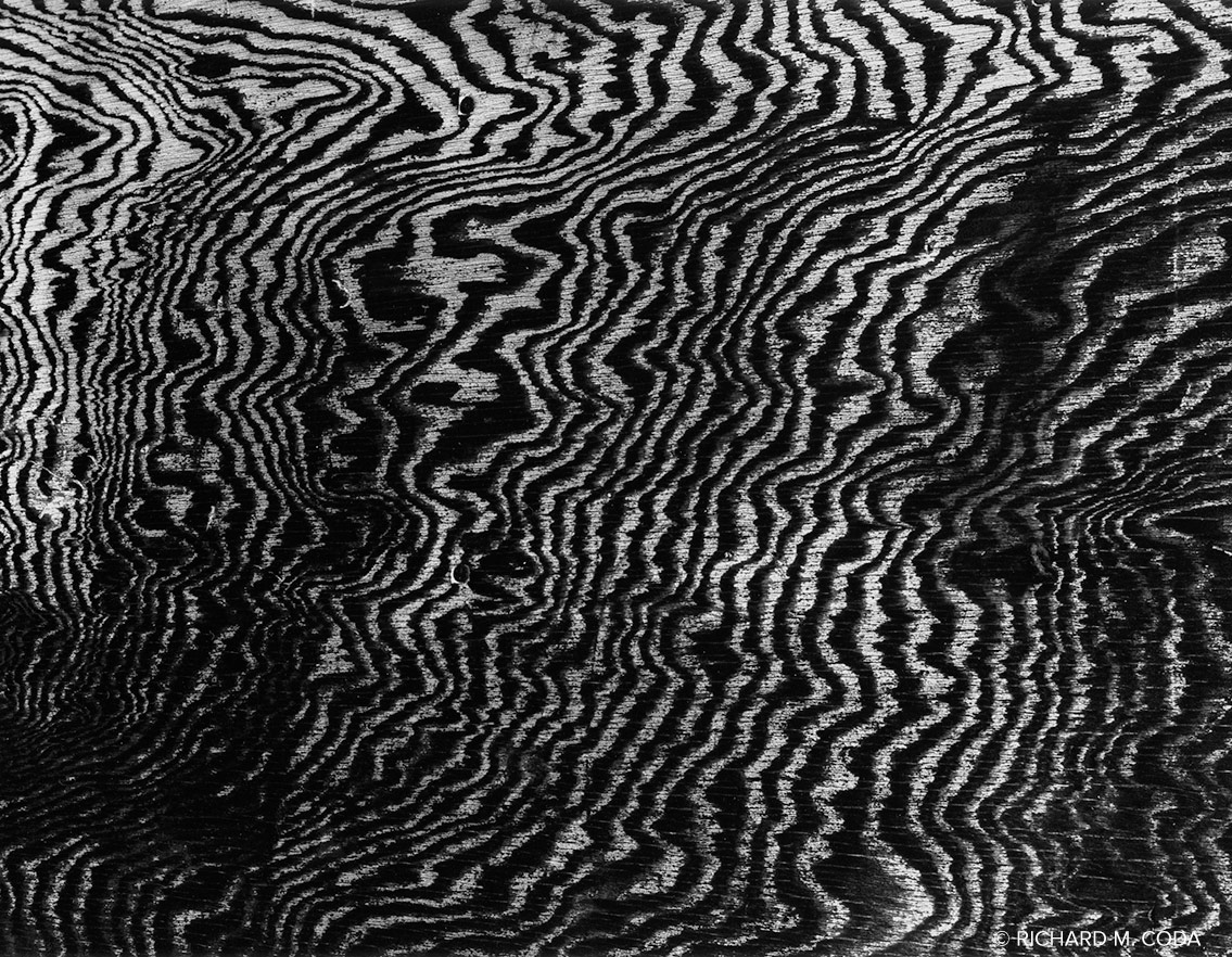 Grain, Ellis Island, NY ©1984. 4x5" Silver Negative. 
