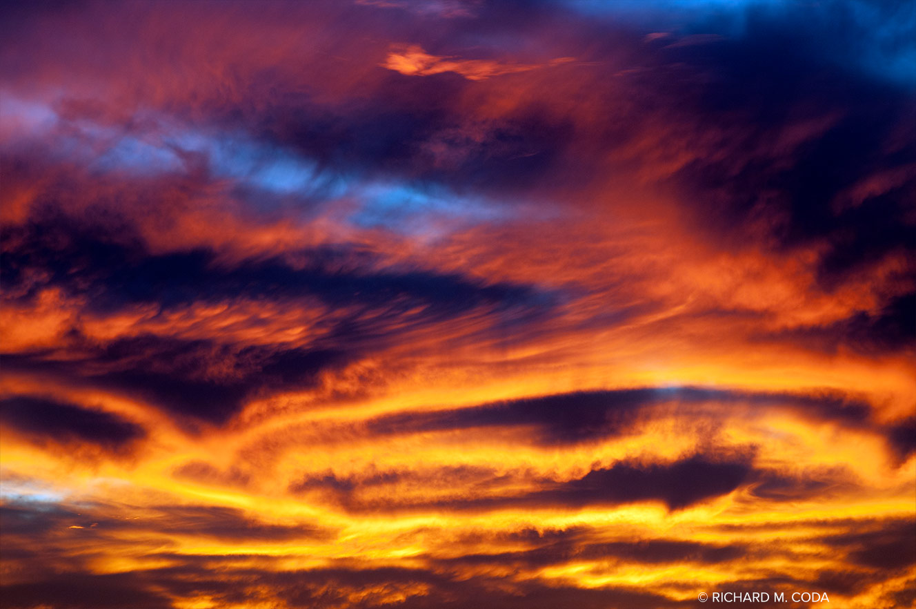 Primodial 7478, Scottsdale, AZ, ©2013. Digital capture.