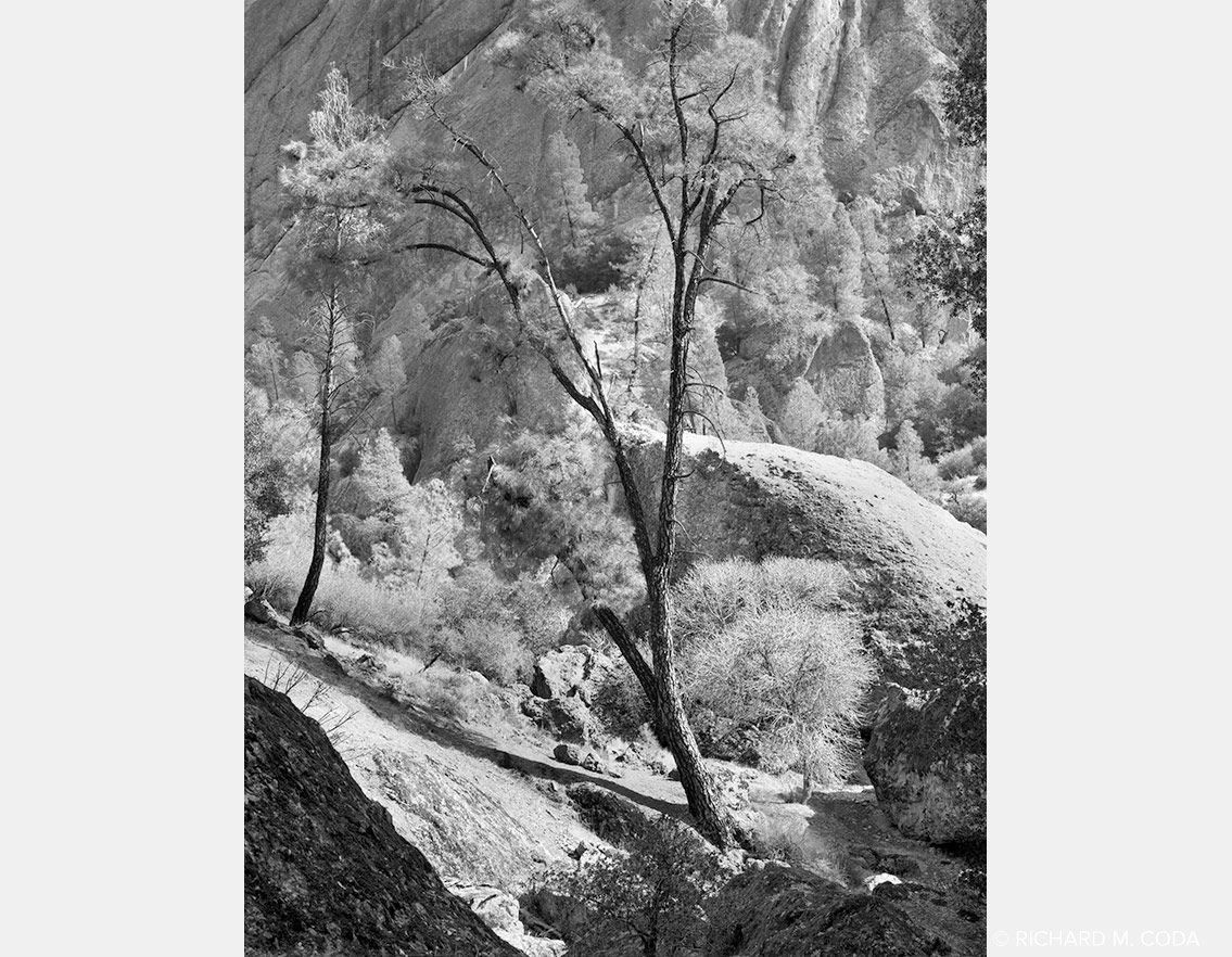 Pinnacles National Monument #5, Gonzales, CA, ©1987. 4x5" Silver Negative.
Pinnacles National Monument #6, Gonzales, CA, ©1987. 4x5" Silver Negative.