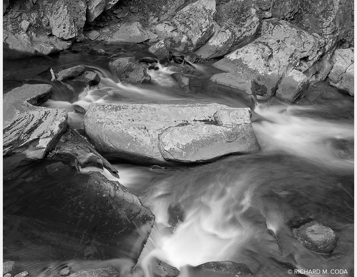 Tellico River, October 7, 2025, ©2025. 8x10" Silver Negative.