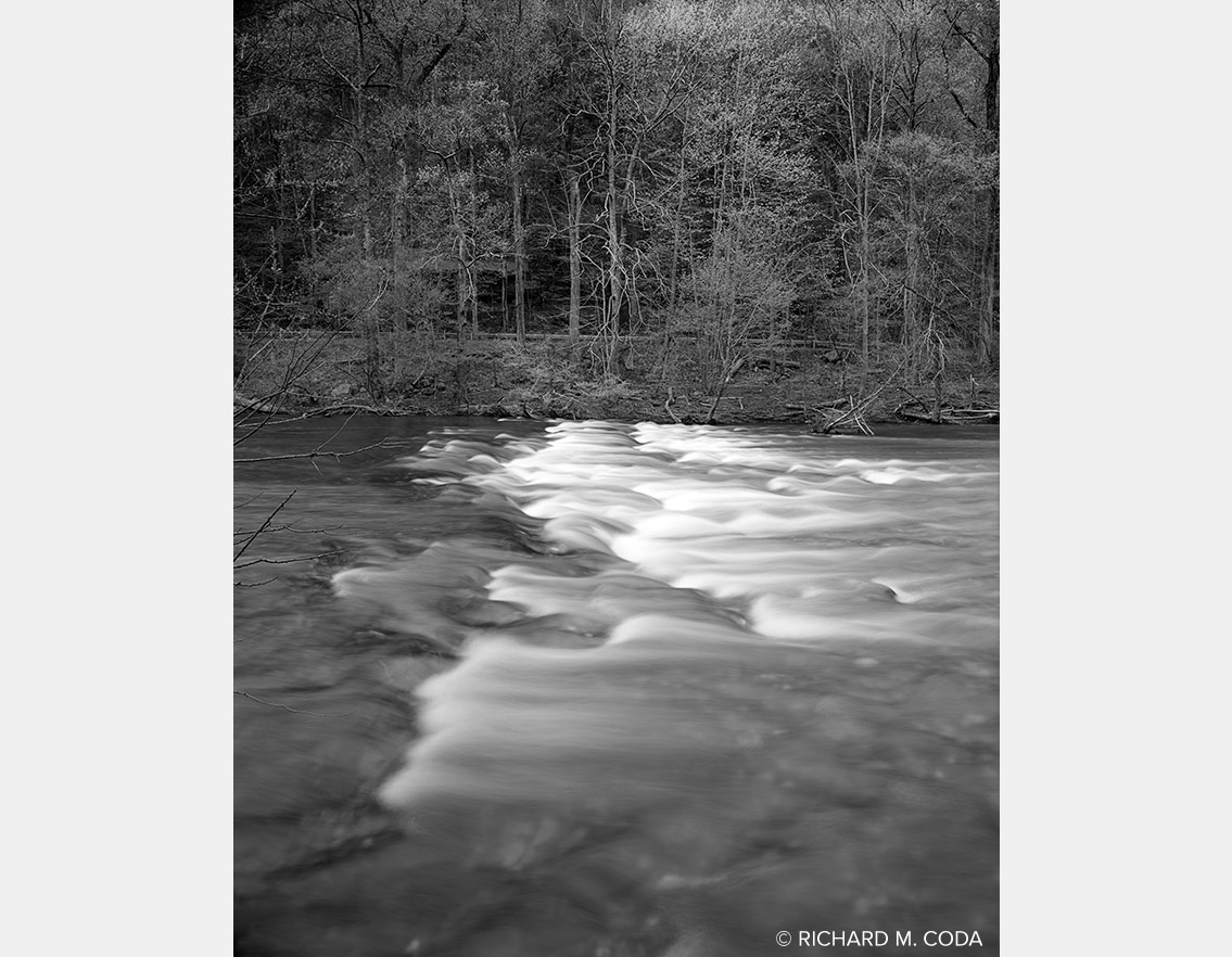 For Michele, Tellico River, A River Runs Through It, 10-7-25, ©2025. 8x10" Silver Negative.