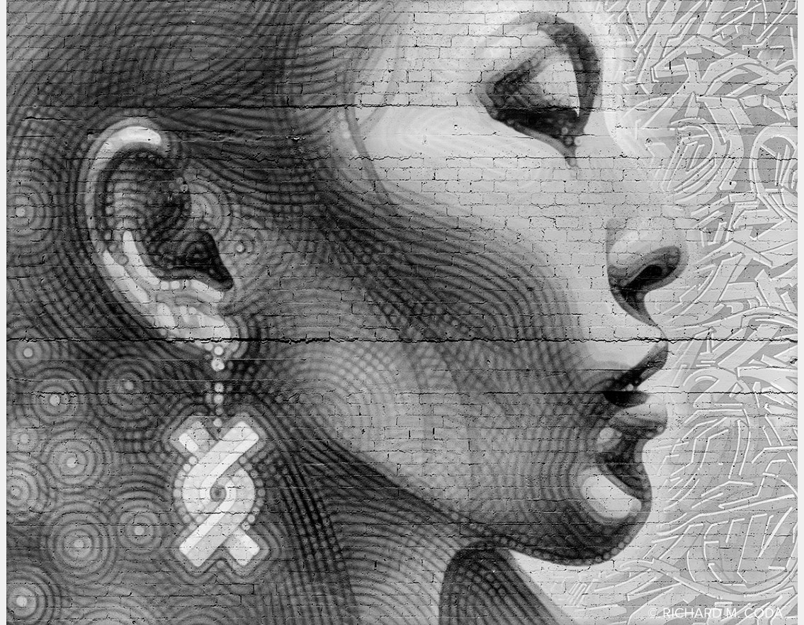 Painted Lady #6, Phoenix, AZ, ©2020. 8x10" Silver Negative.
