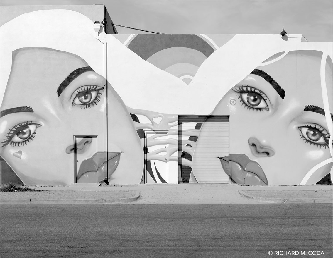Painted Ladies #7, Phoenix, AZ, ©2019. 8x10" Silver Negative.