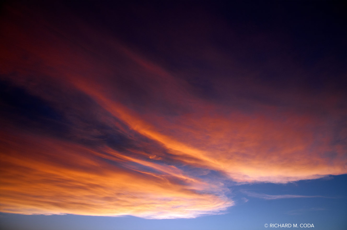 Primodial 9456, Scottsdale, AZ, ©2011. Digital capture.