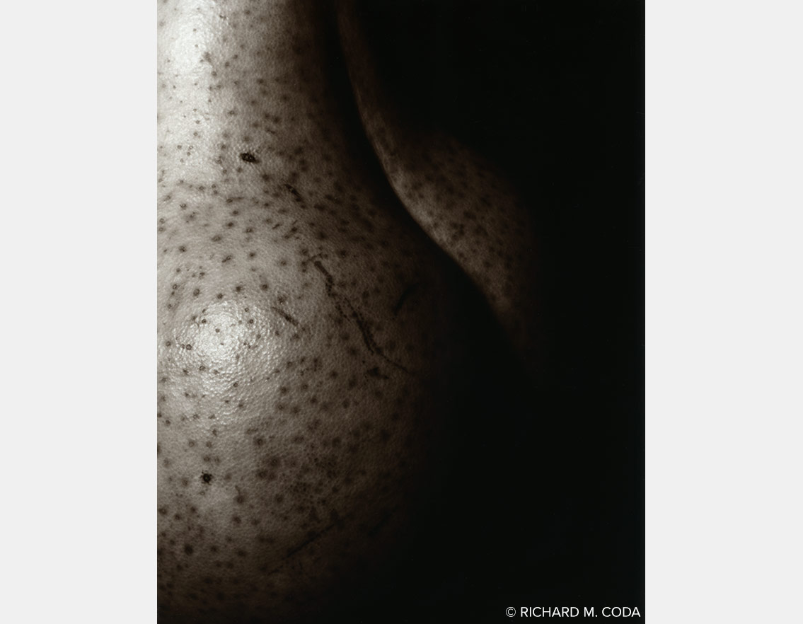 Nude Pear, ©1991. 4x5" Silver Negative.