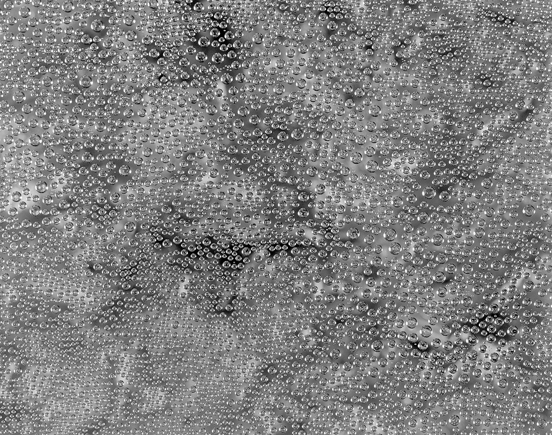 Coq au Vin, Scottsdale, AZ, ©2009. 4x5" Silver Negative.