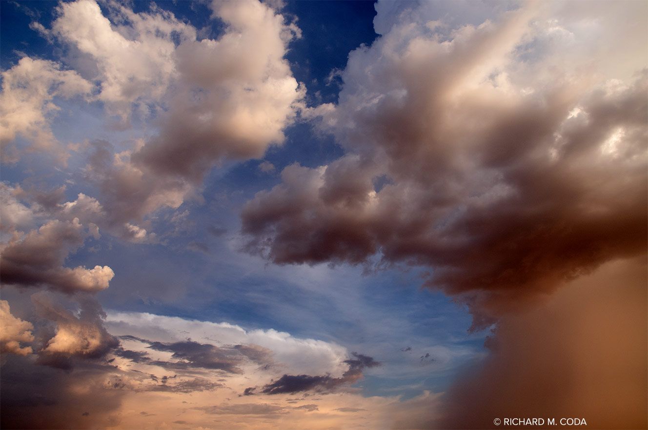 Primodial 3918, Scottsdale, AZ, ©2012. Digital capture.
