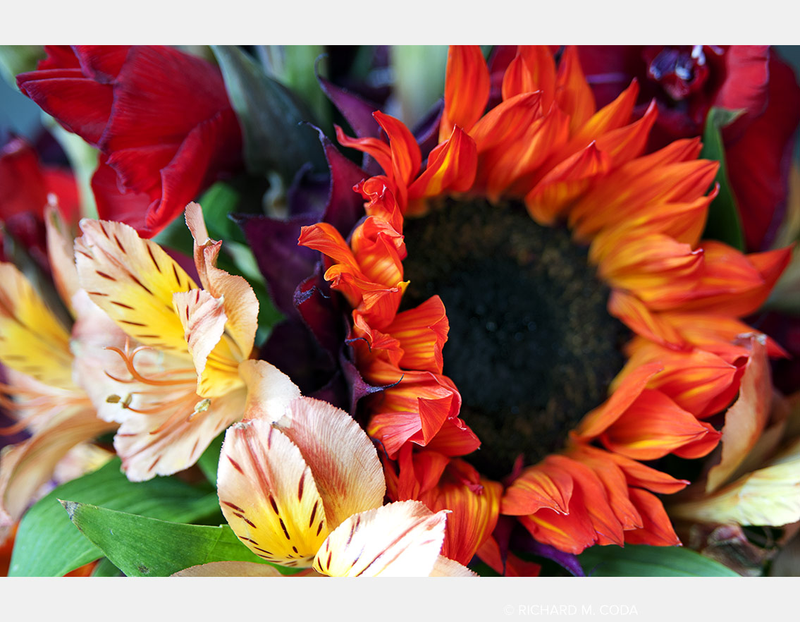 Arrangement-7440-2013, Scottsdale, AZ, ©2013. iPhone capture.