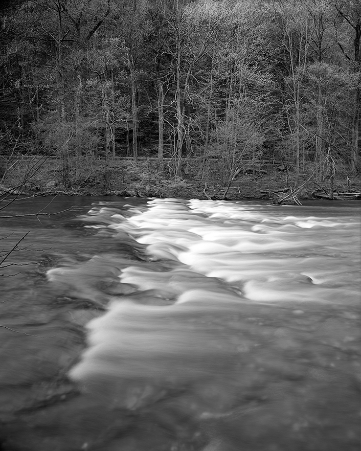 For Michele, Tellico River, A River Runs Through It, 10-7-25, ©2025. 8x10" Silver Negative.