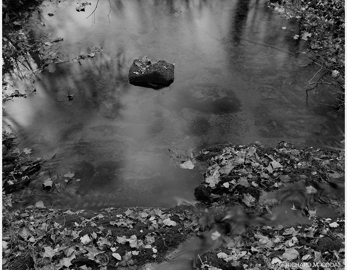 Scarboro Creek, UT Arboretum, Oak Ridge, TN ©2026. 8x10" Silver Negative.