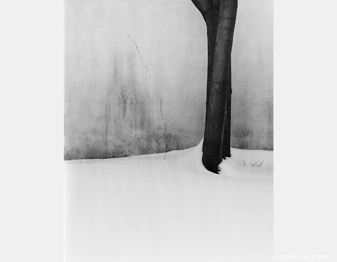 Tree Shadows, Monterey, CA, ©1989. 4x5" Silver Negative.
Palo Colorado Rd., Big Sur, ©1987. 4x5" Silver Negative.