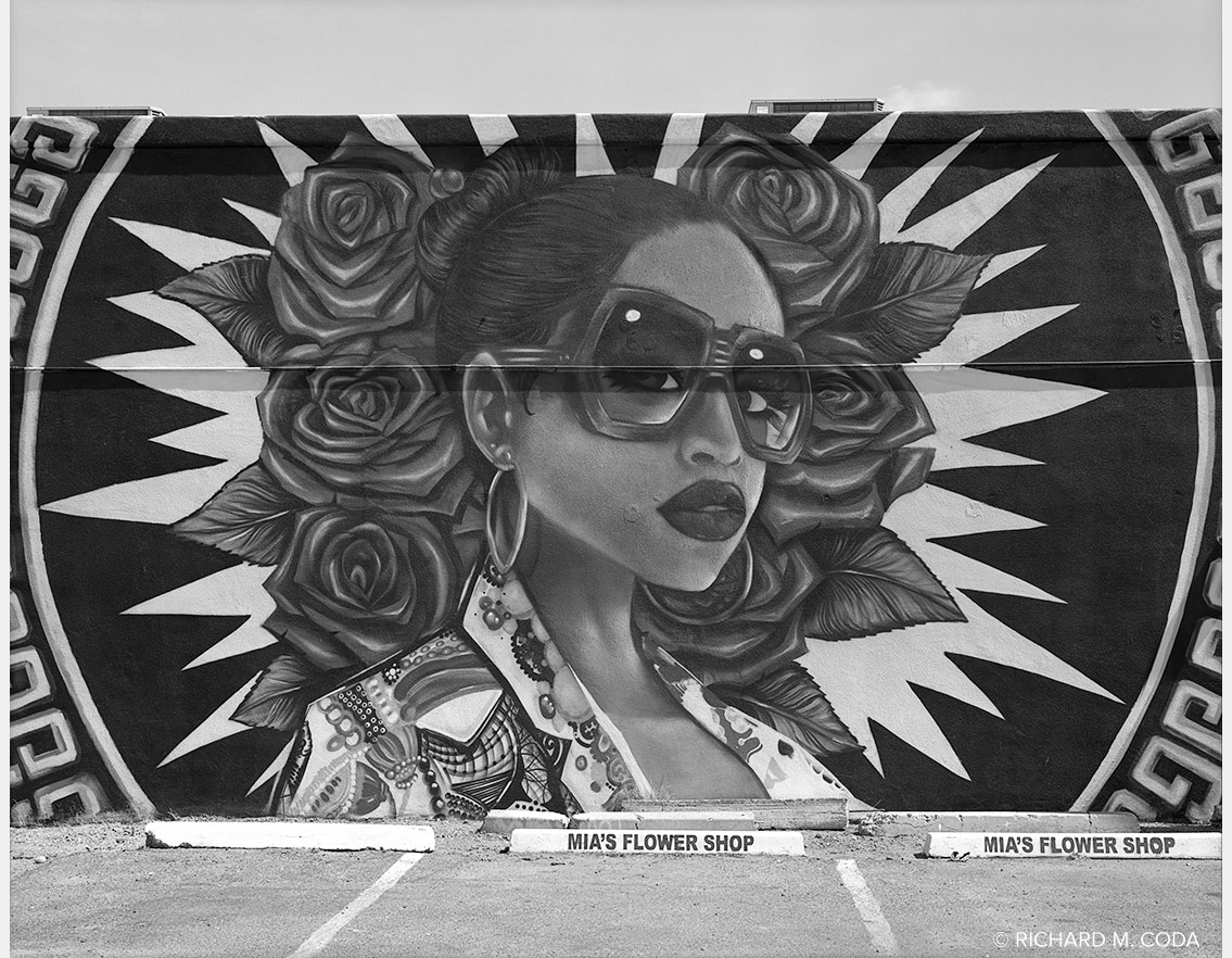 Painted Lady #5, Phoenix, AZ, ©2020. 8x10" Silver Negative.