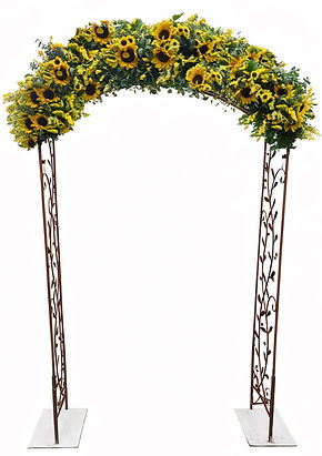 archC Brown Sunflower .jpg