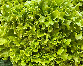 WhatsApp Image 2026-03-16 at 09.44.47.jpeg