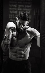 Boxernew.jpg