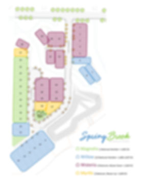 Spring Brook Plan Map (simple).jpg