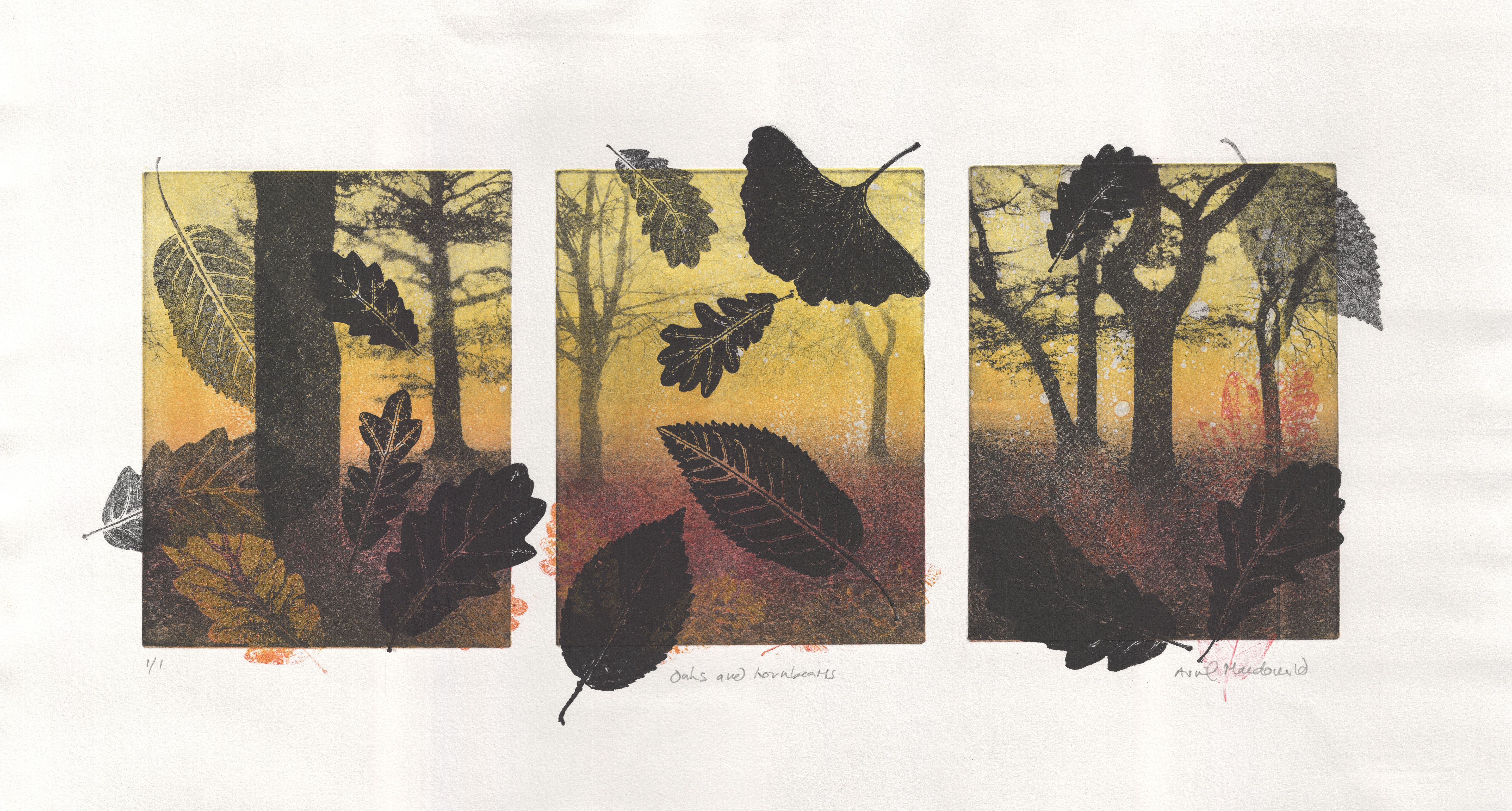 Avril Macdonald - Leaves