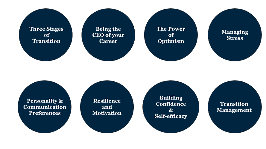 Corporate Programme Topics (3).png
