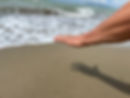 IMG_5686.jpeg