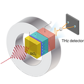 Spin to charge conversion
